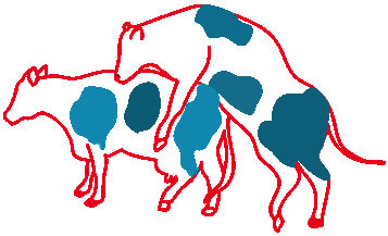 Kızgınlık Tespit Edildi